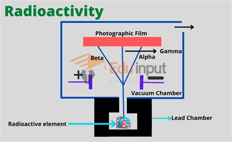 Radioactivity Definition And Types Of Radioactivity