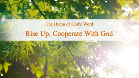 Rise Up Cooperate With God