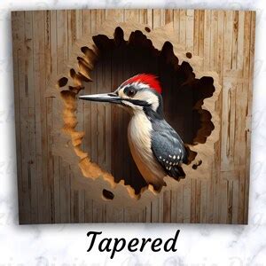 3D Woodpecker Bird In A Tree Hole 20 Oz Skinny Tumbler Sublimation