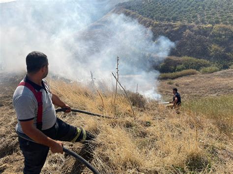 Hatay Da Otluk Alanda Korkutan Yang N