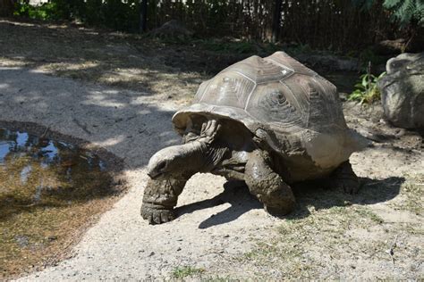 BEHIND THE SCENES TOURS - Virginia Zoo