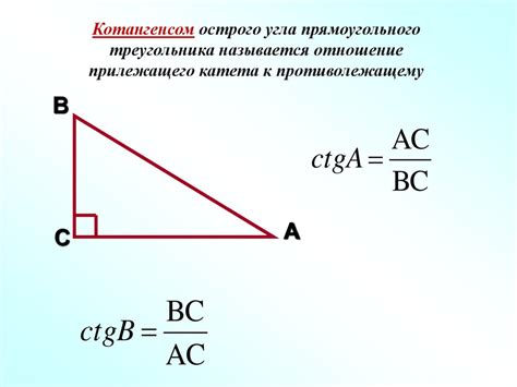 Тригонометрические функции острого угла прямоугольного треугольника ...