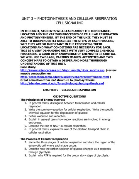 Unit 3 Photosynthesis And Cellular Respiration