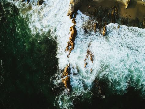 Banco de imagens mar costa árvore agua natureza Rocha oceano