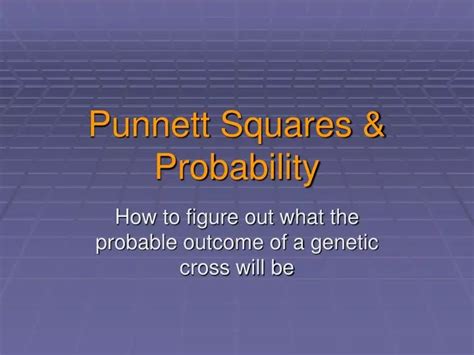 Ppt Punnett Squares And Probability Powerpoint Presentation Free