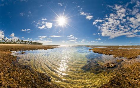 Conhe A A Praia Do Forte Um Destino Paradis Aco Na Bahia Trilhas E