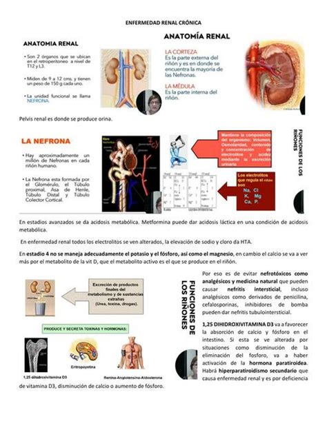 Enfermedad Renal Cronica Medstdnlife Udocz