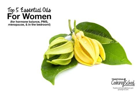 Top 5 Essential Oils For Women For Hormone Balance Pms And More