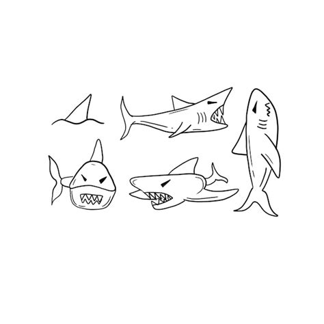 Premium Vector Shark Handrawn Doodle Illustrations Vector