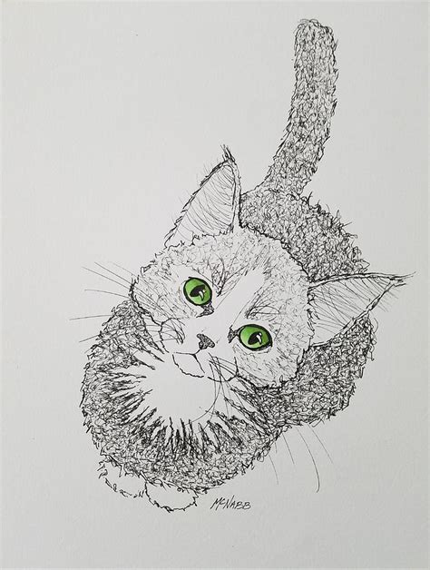 Green Eyed Cat Drawing by Johnny McNabb - Fine Art America