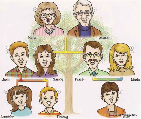 Family Tree - Online Dictionary for Kids