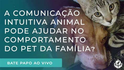 Live como a Comunicação Intuitiva Animal pode ajudar no comportamento