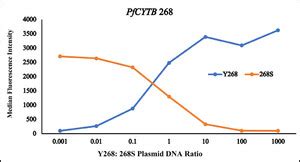 Creating And Validating Ligase Primers To Detect Single Nucleotide