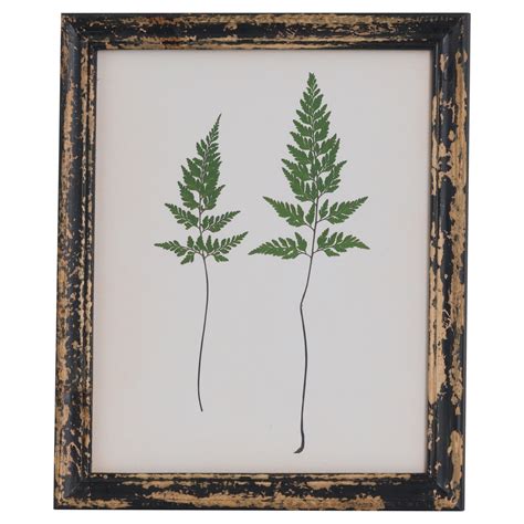 Rustic Framed Botanical Pair Of Ferns Picture Wholesale By Hill Interiors