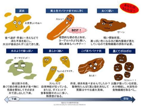 「リーキーガット症候群」便を観察すると胃腸の状態が良く分かる！ ビタミンアカデミー