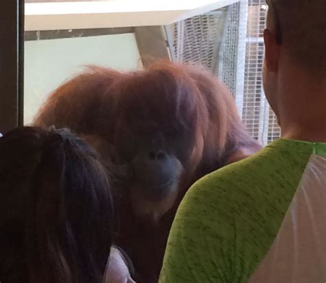 Indianapolis Zoo Exhibit Makes Best Zoo Exhibits List Indianapolis