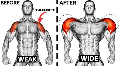 8 Best Shoulder Exercises For Boulder Shoulders Workout Shoulder