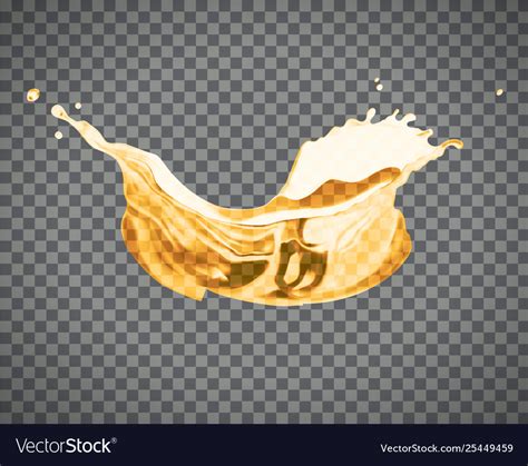 Beer splash isolated on light background Vector Image