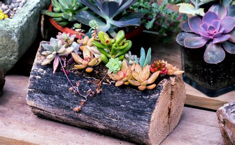 17 Gorgeously Rustic Log Planters And How To Make Them Diy Guides Guides