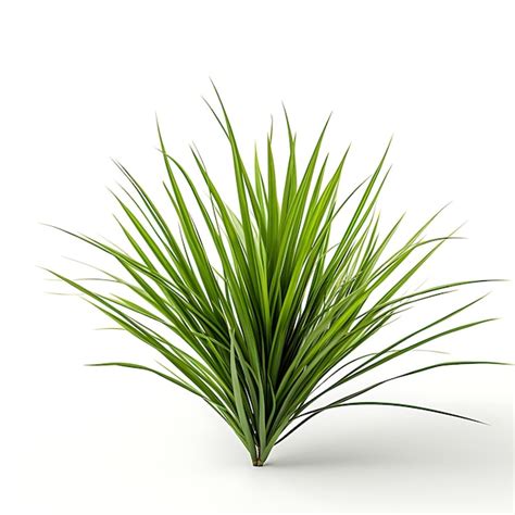 Premium Photo Carex Muskingumensis Muted Green A Palm Sedge Leaf
