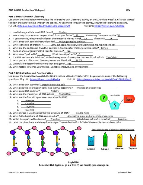 Fossils Webquest Berkeley Answer Key 1