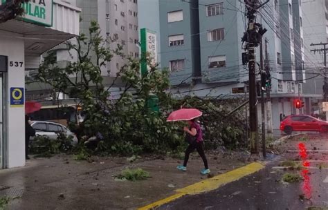 Ciclone causa danos em mais de 35 cidades no Rio Grande do Sul FORÇA