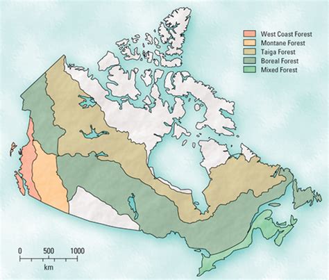 Forest Facts - Canada's Forestry Industry