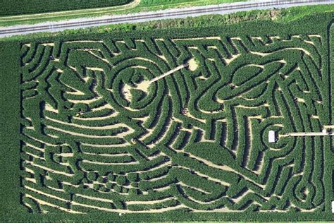 Ideas For Garden Mazes Hgtv