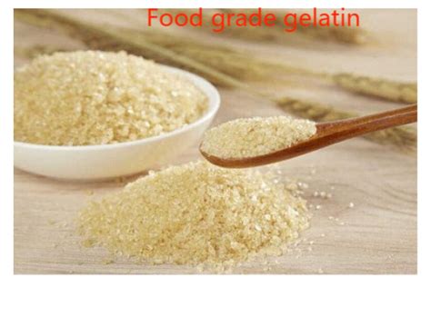 High Protein Edible Gelatin Powder Plain Gelatin Powder Cas 9000 70 8