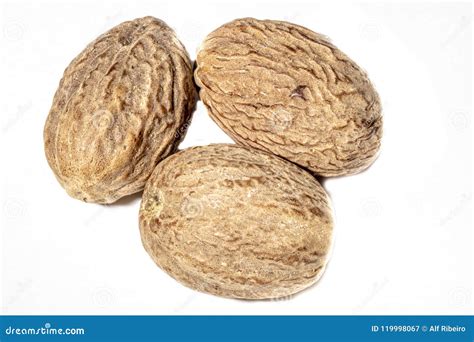 Nutmeg spice stock image. Image of background, brazil - 119998067