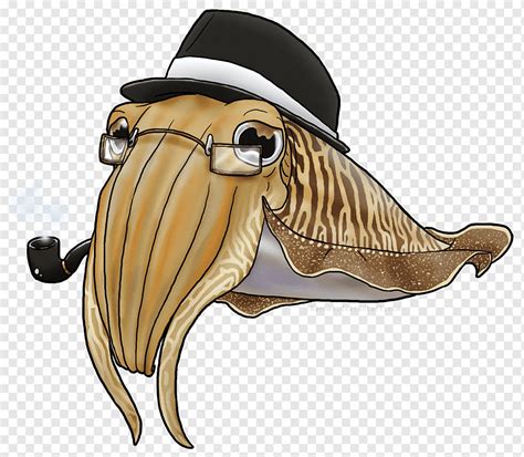 Octopus Squid Cuttlefish Drawing Others Cartoon Animation Sepia Png