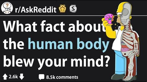 Mind Blowing Facts About The Human Body R Askreddit Youtube