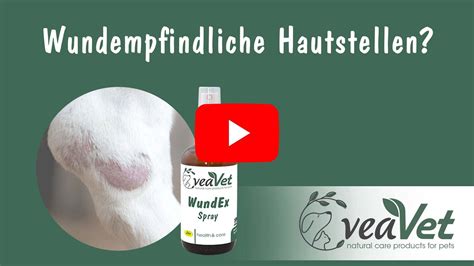 VeaVet WundEx Spray für Hunde und Katzen