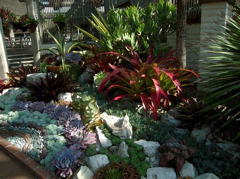 23 Southern California Succulent Garden Ideas To Consider Sharonsable