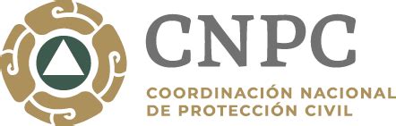 Cursos De La Direcci N General De Protecci N Civil