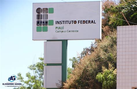 Estudantes Do Ifpi Campus Corrente Obt M Pontos Na Reda O Do Enem