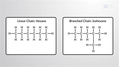 Carbon Skeletons, Organic Compounds and Isomers | Biology | JoVe