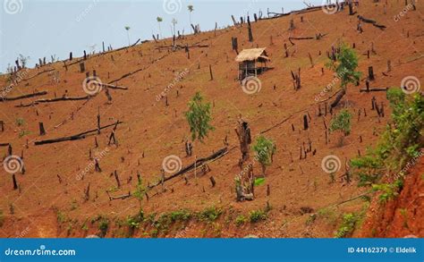 Deforestation Laos Cutting Rainforest Naked Earth Stock Footage