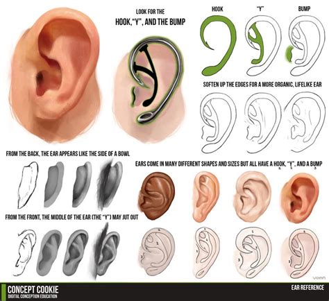 Simple Ear Tutorial Drawing Tutorial Art Reference Drawings