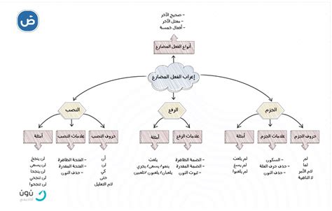 انواع الخطوط في الرسم ووردز