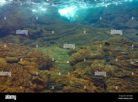 Lava Flows Underwater Santiago Island Galapagos Islands Ecuador