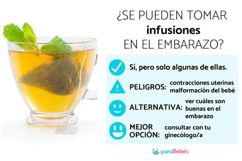 Infusiones Durante El Embarazo Son Seguras Escenika