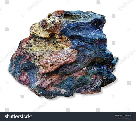 Carbonate Rock Limestone Class Sedimentary Rocks Stock Photo 2235605257 ...