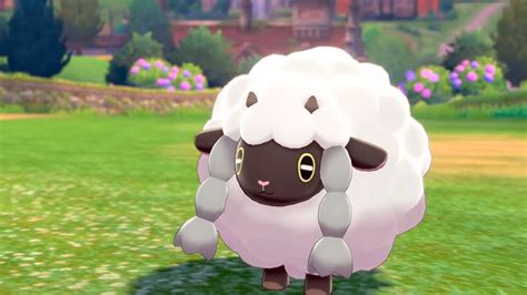 How To Catch Wooloo In Pokemon Sword And Shield Youtube