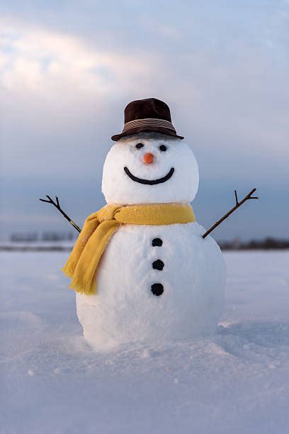 Snowman Blue Scarf Stock Photos Pictures And Royalty Free Images Istock