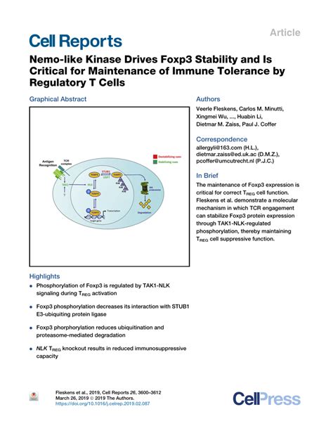 Pdf Nemo Like Kinase Drives Foxp Stability And Is Critical For