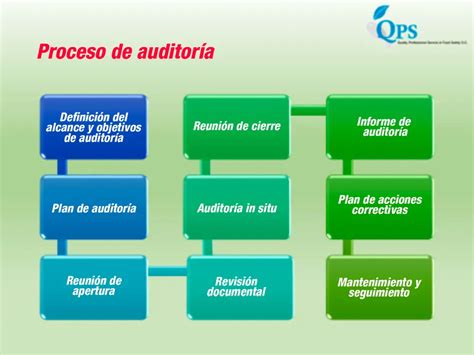 Auditoría De Procesos Tutorial Completa Para La Optimización