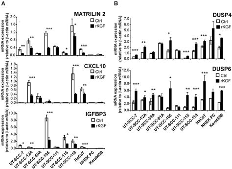 The Expression Of Matrilin 2 CXCL10 IGFBP3 DUSP4 And DUSP6 Is