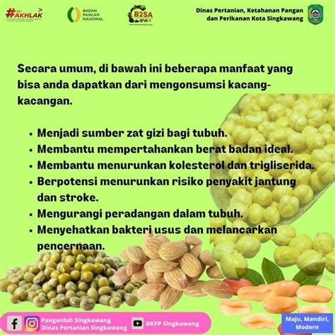 Manfaat Makan Kacang Kacangan Bagi Kesehatan Avada Seo