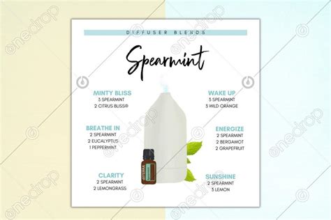 Spearmint Diffuser Blends Illustrated By Pixel Perfect